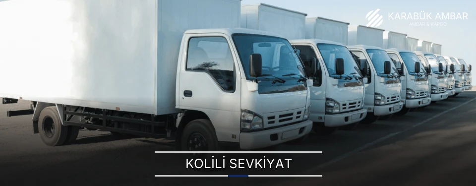 Karabük Düzenli Koli Sınıflandırma ve Sevk Karabük Düzenli Koli Sınıflandırma ve Sevk